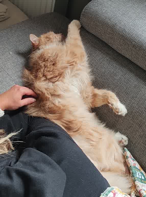 Lenny Foto 3