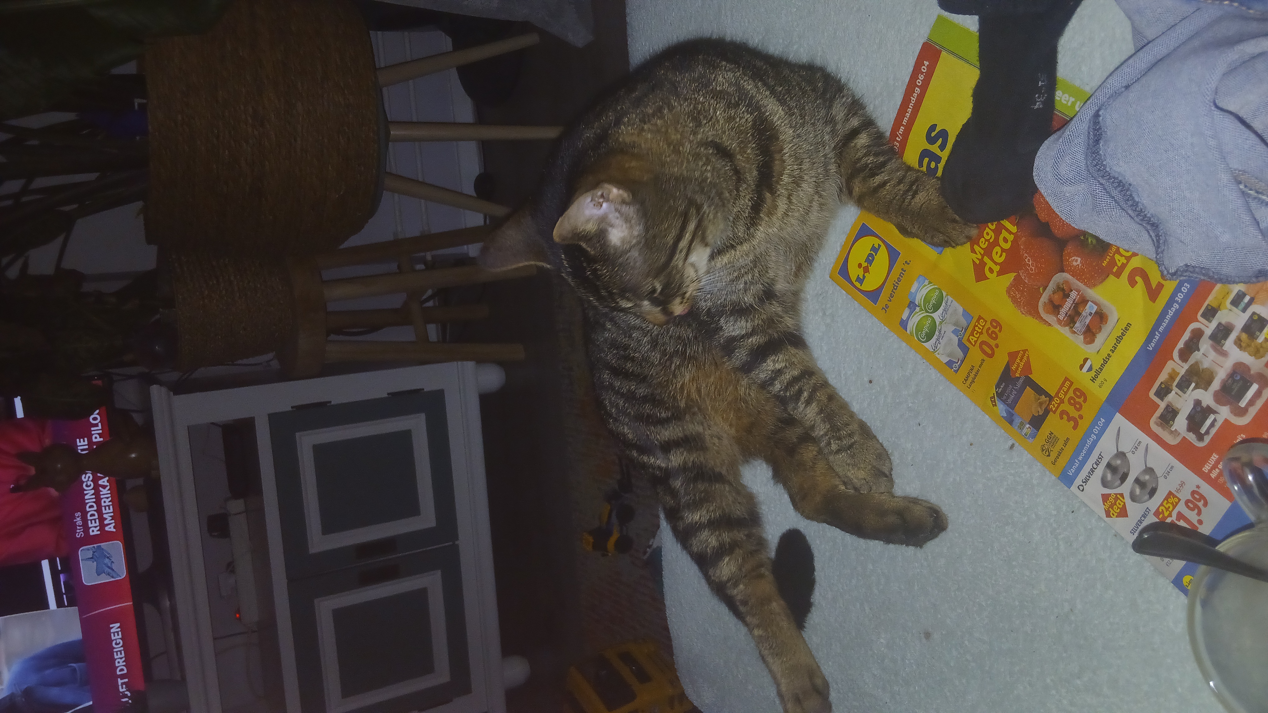 Spike foto 2