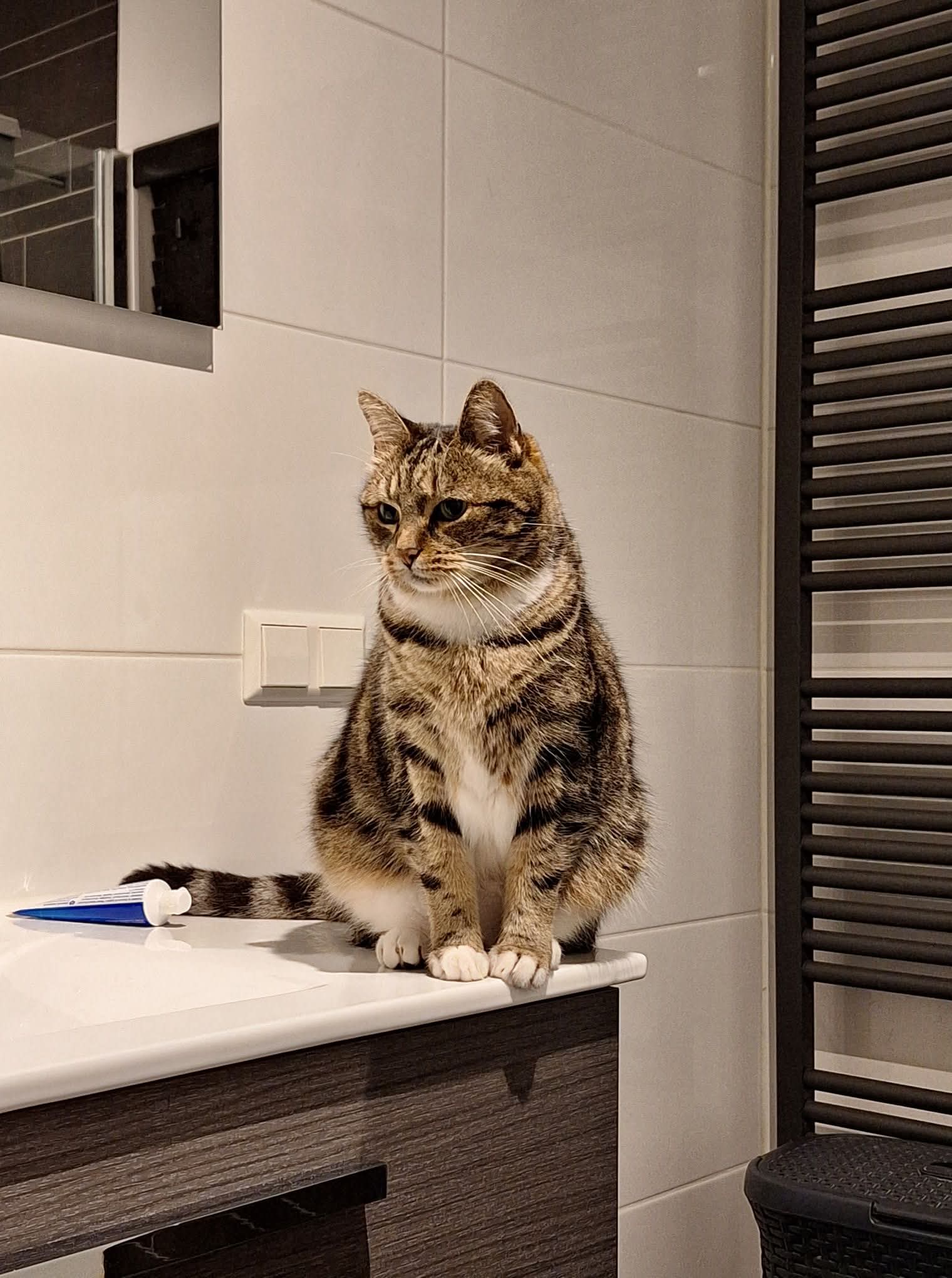 Hero foto 4