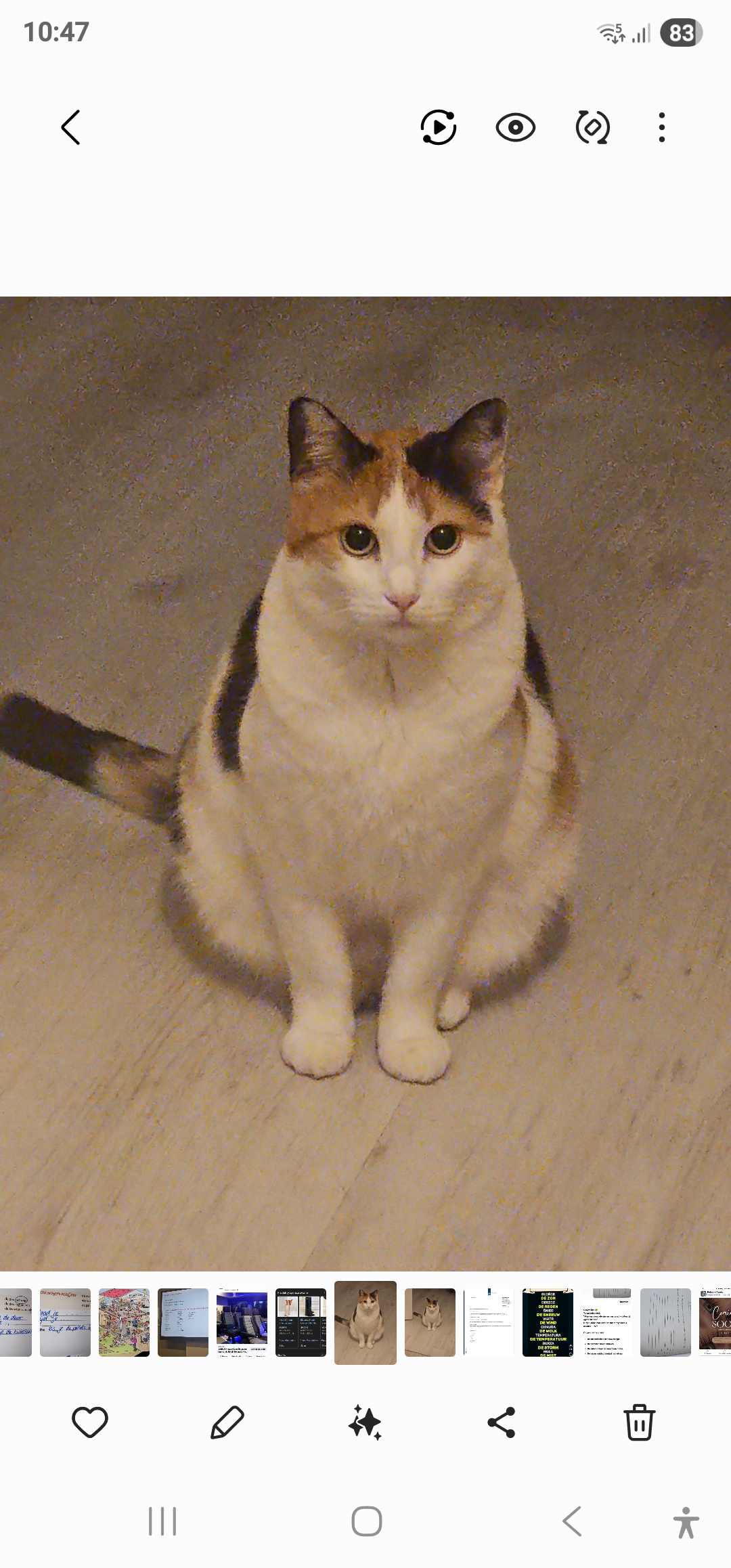 Foto van KITTY