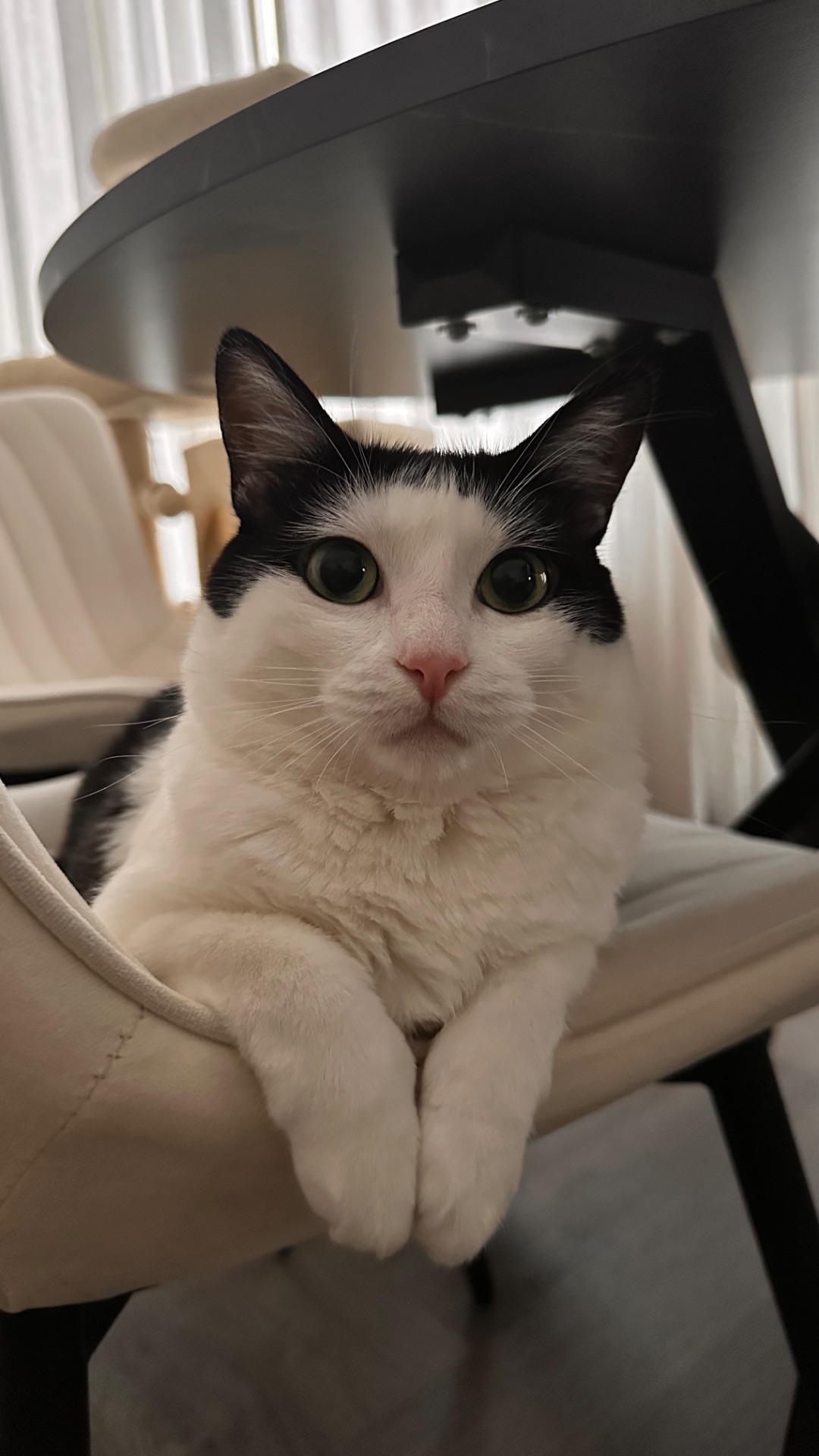 Foto van Yuumi