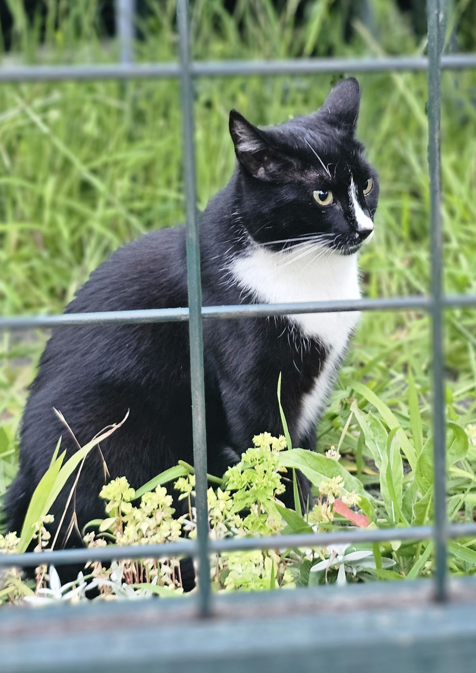 Zènek foto 2