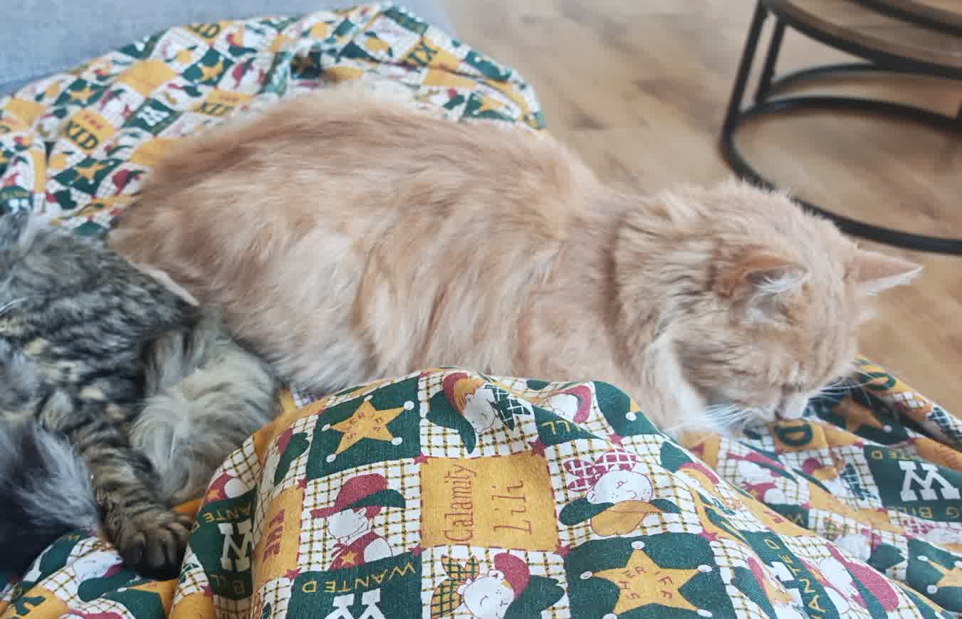 Lenny Foto 2