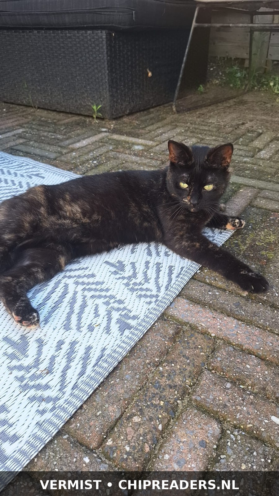 Foto van Leuntje