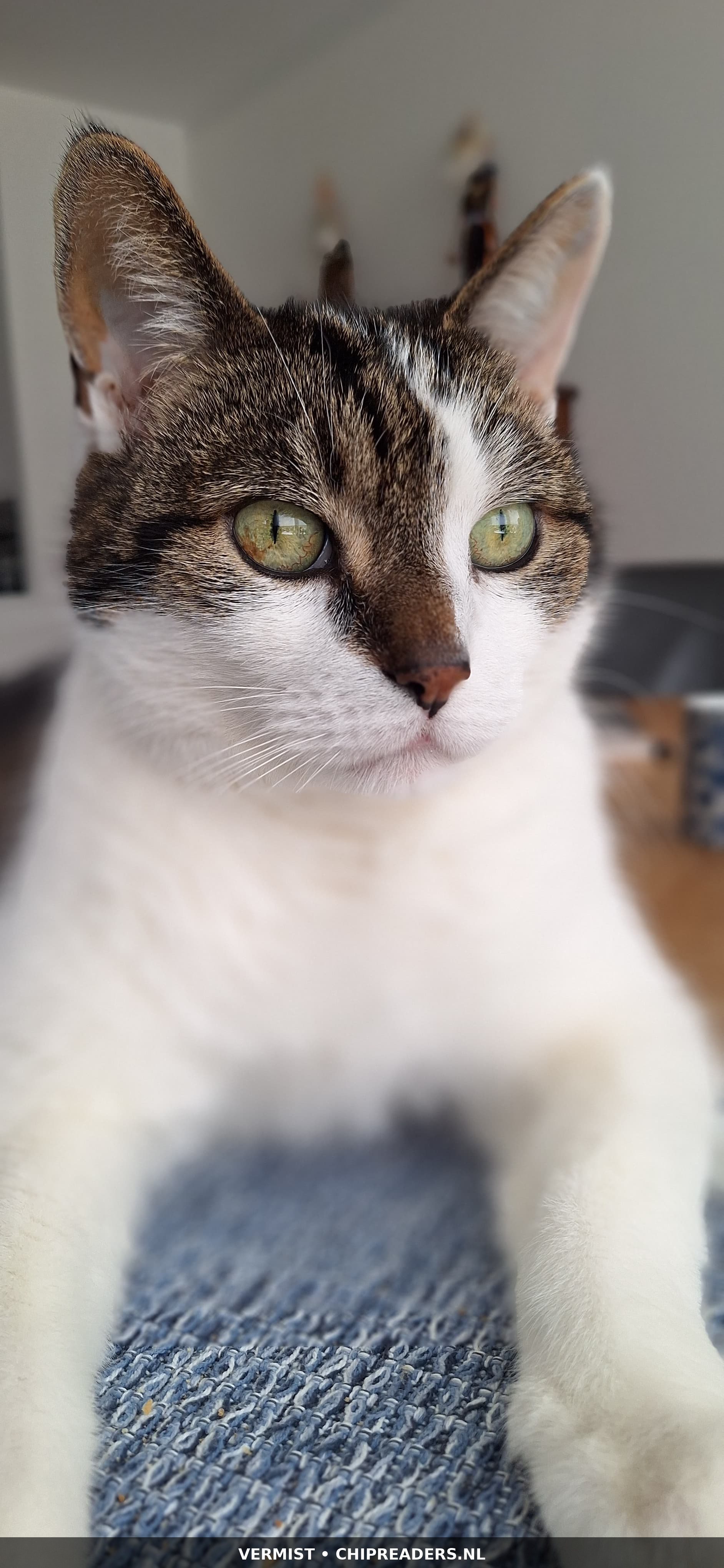 Sammy foto 2