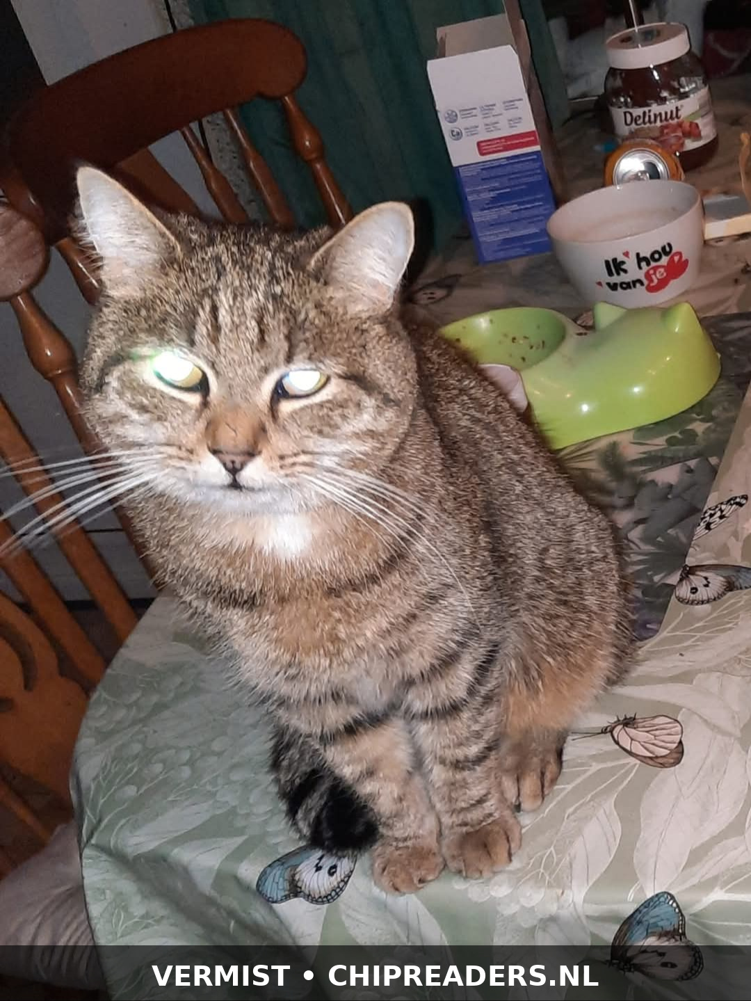 Foto van Tijgertje
