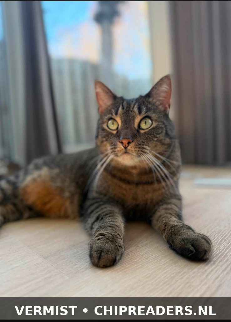 Foto van Milo