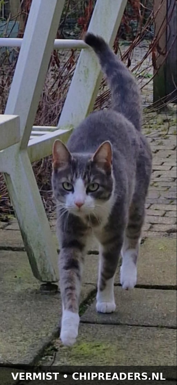 Foto van Fransje