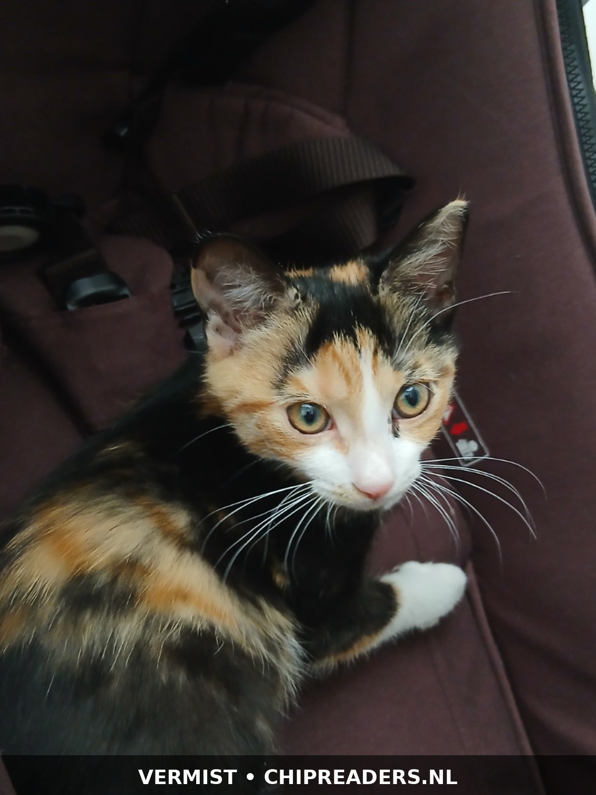 Rita