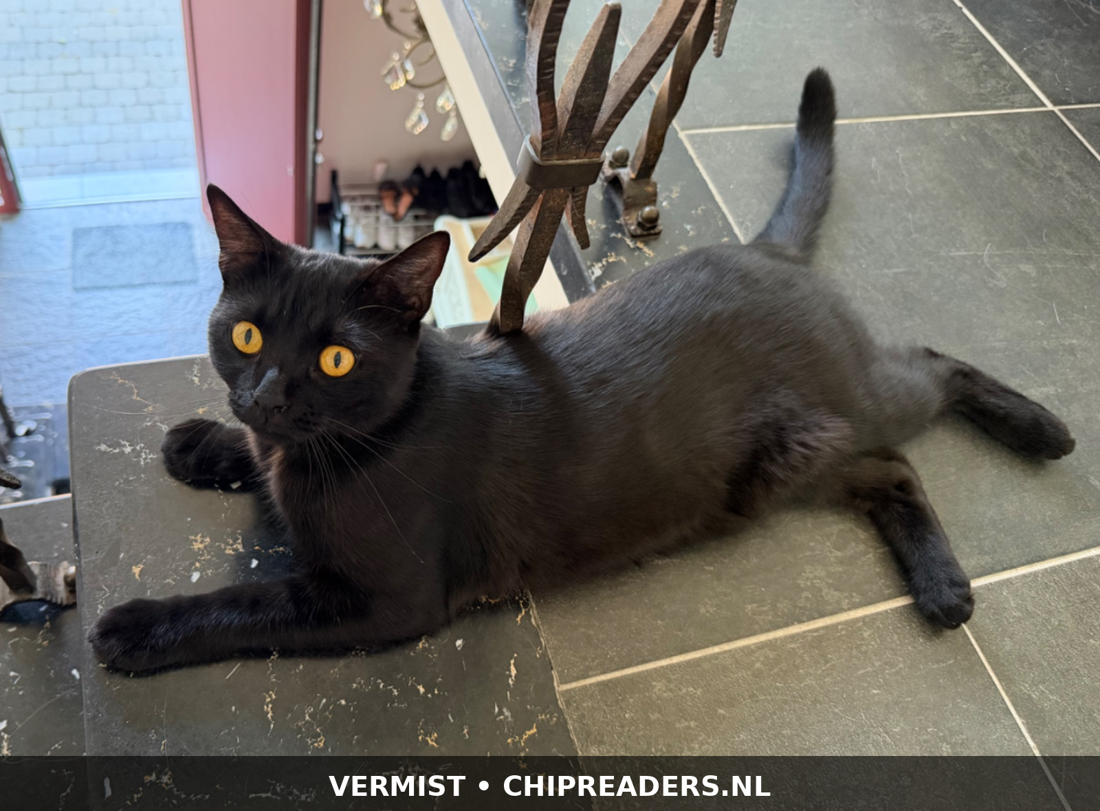 Foto van Saki
