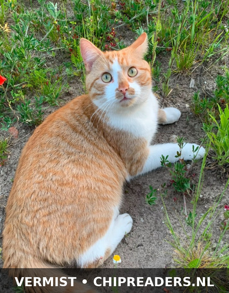Foto van Milo