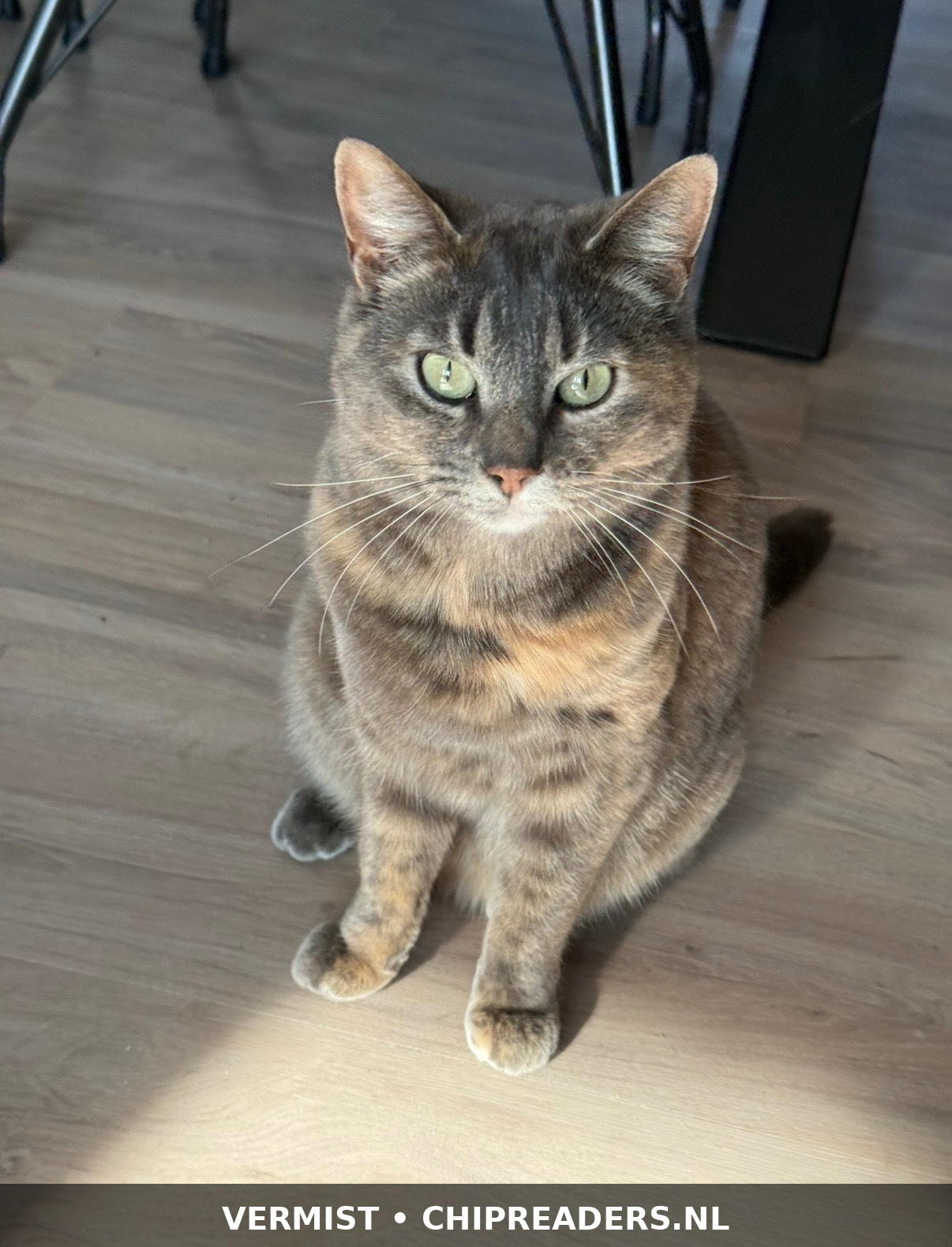 Nala