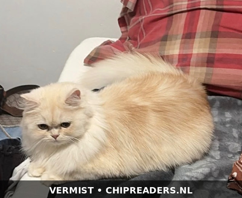 Foto van Zooro