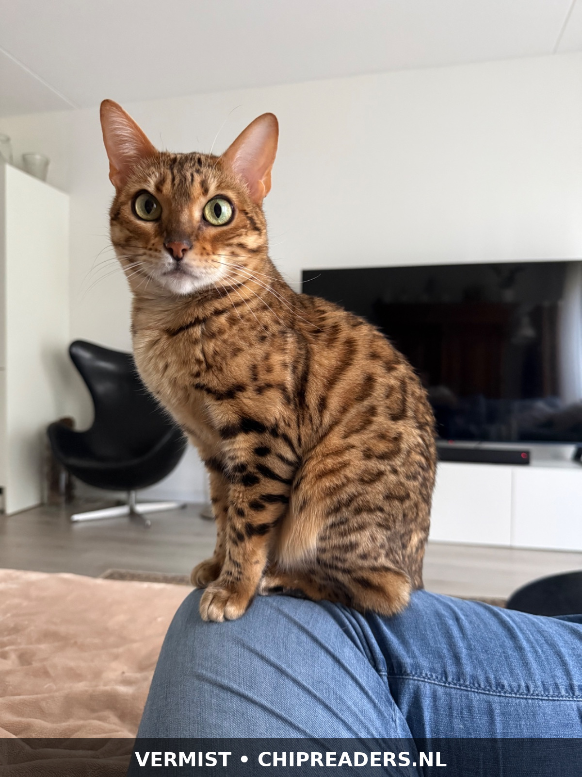 Foto van Kiki