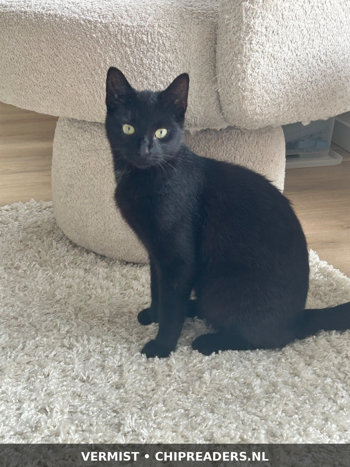 Foto van Kevin