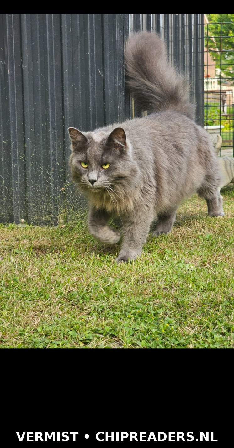 Foto van Fender