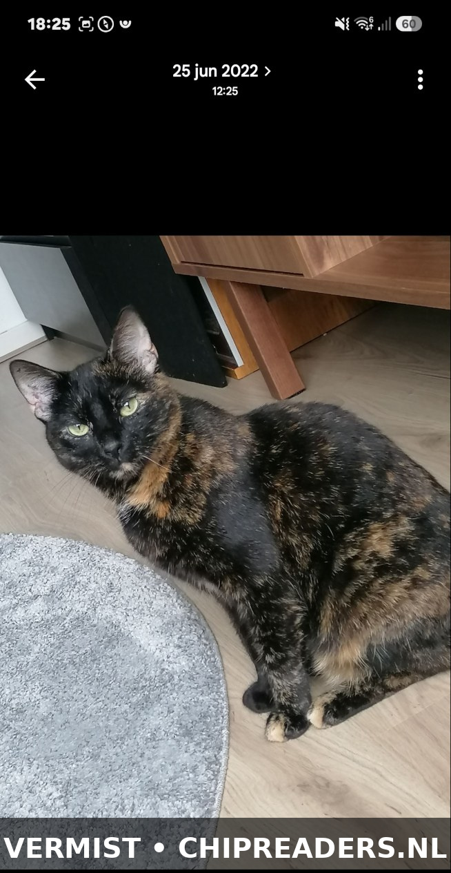 Foto van Shyva