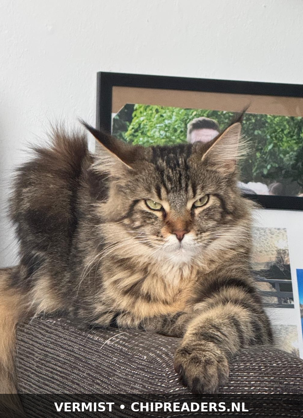 Chloe