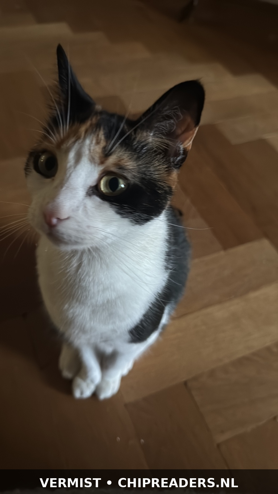 Foto van Santi