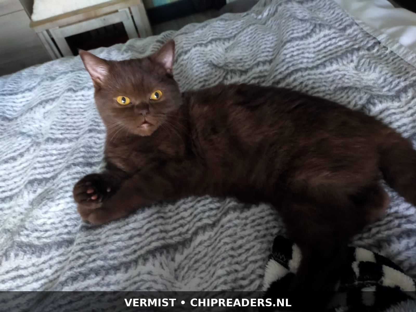 Nala