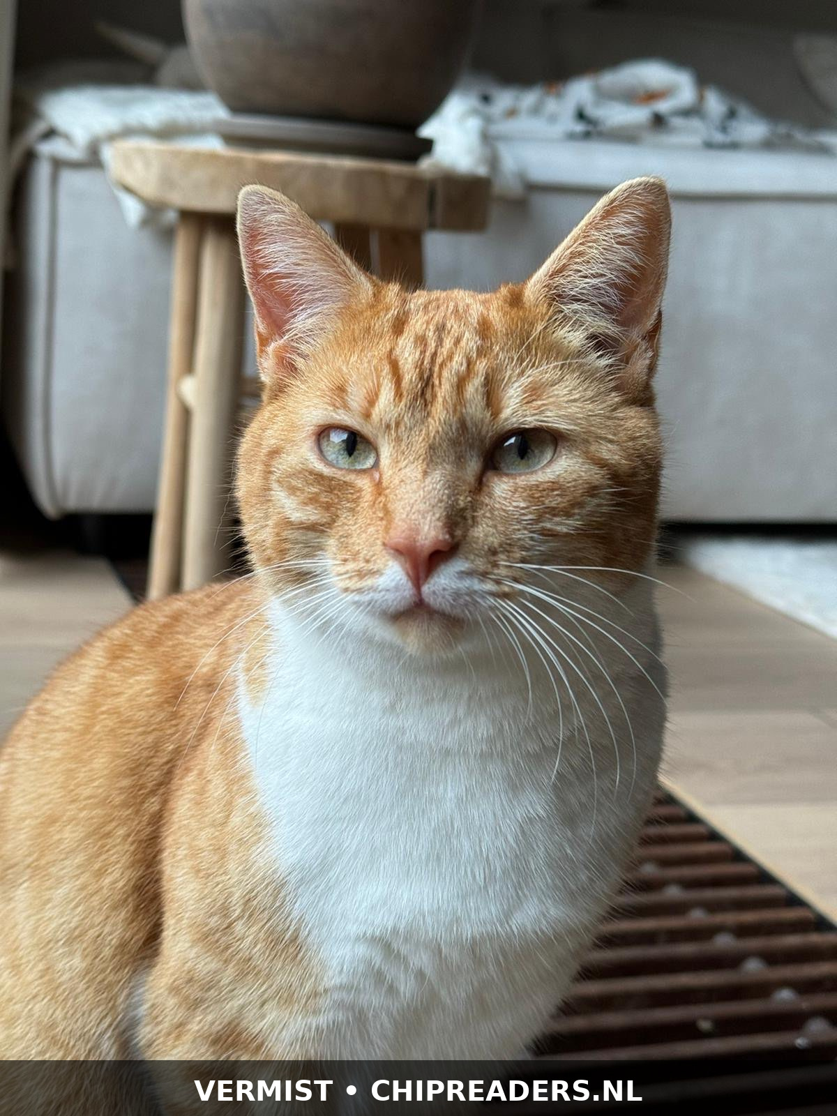 Foto van Bill