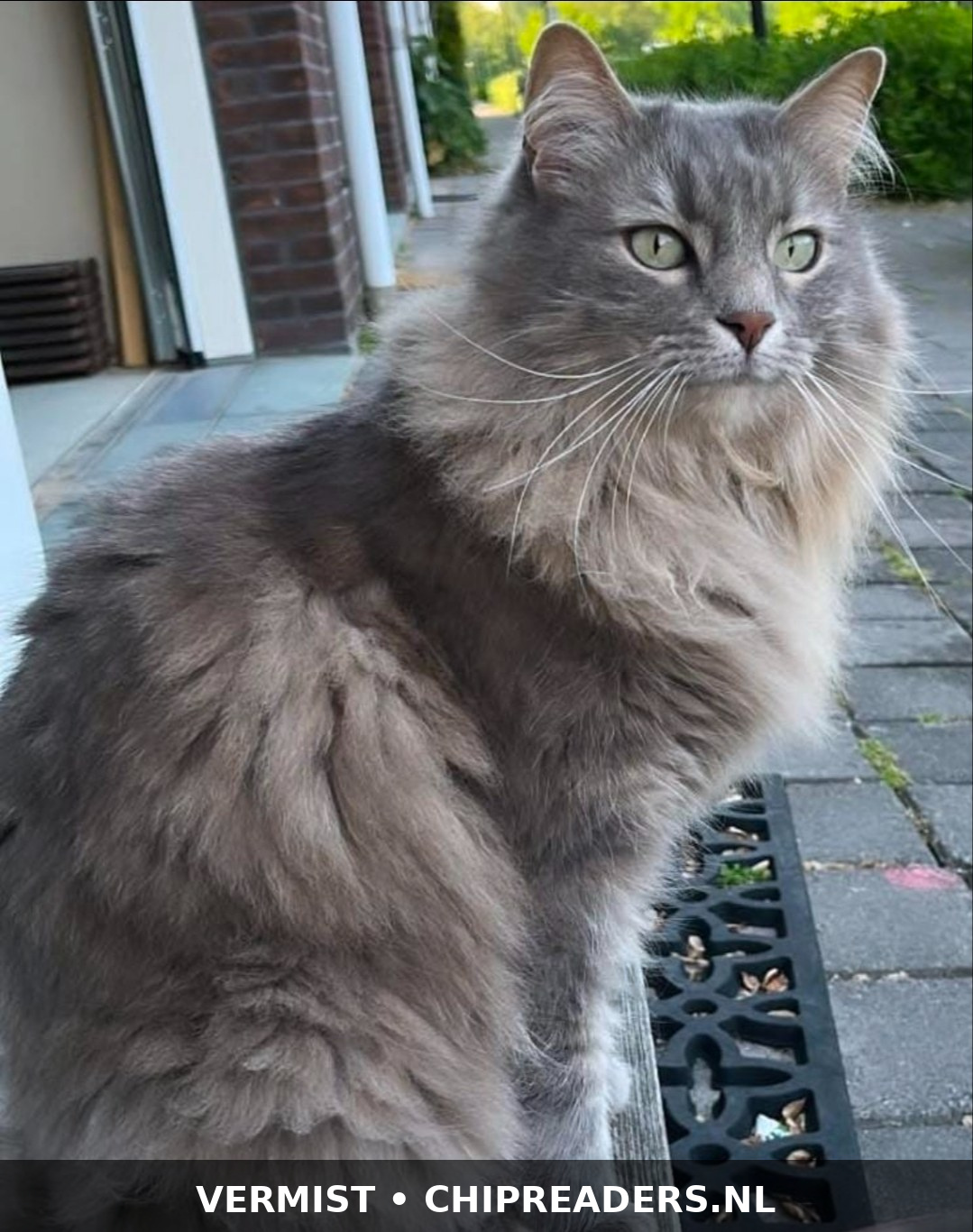 Foto van Bali