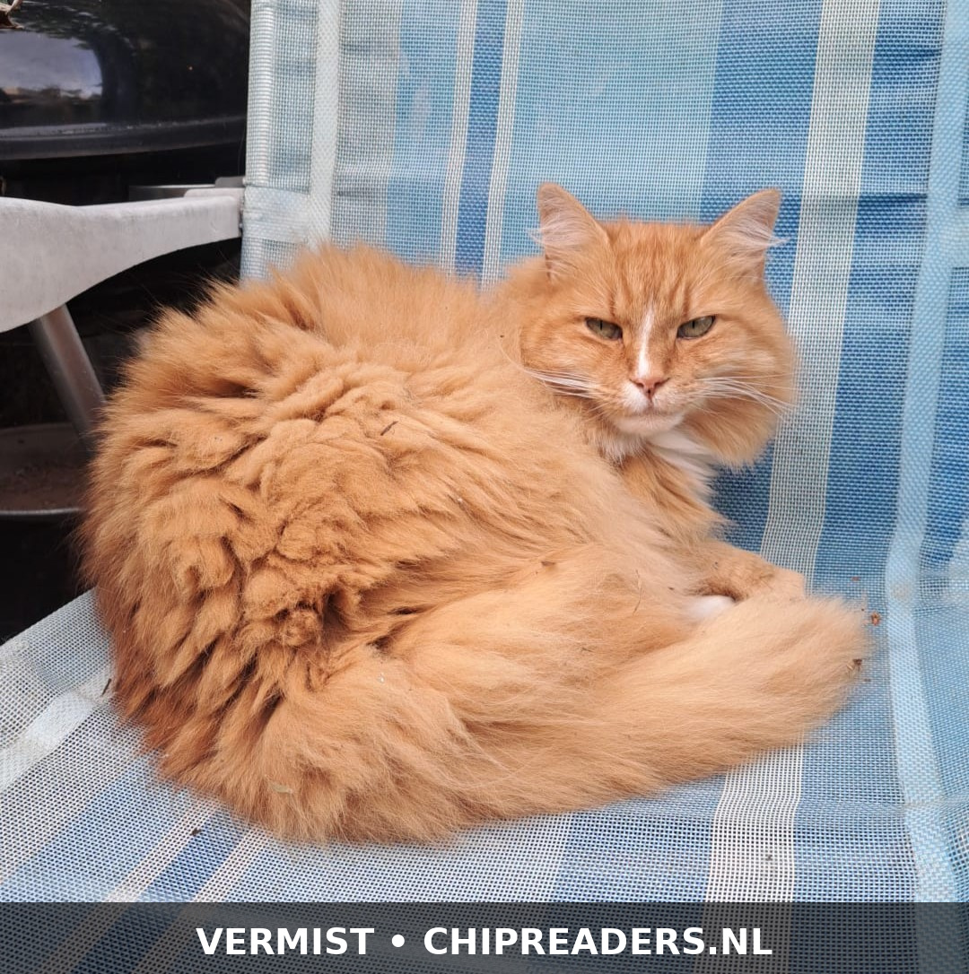 Blekkie foto 5