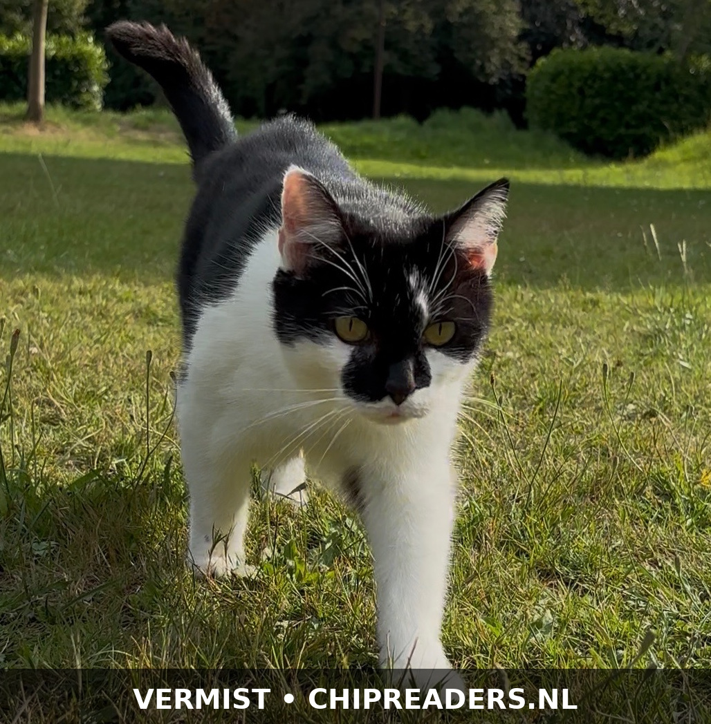 Foto van Mamita