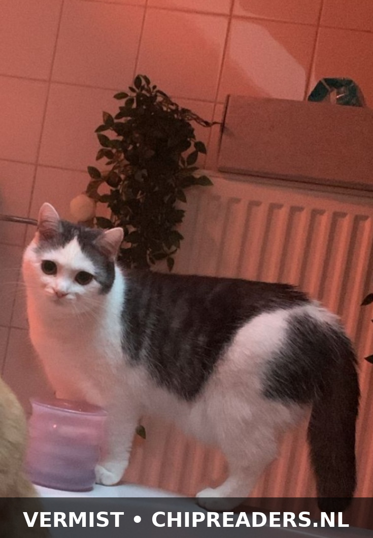 Foto van Lilly