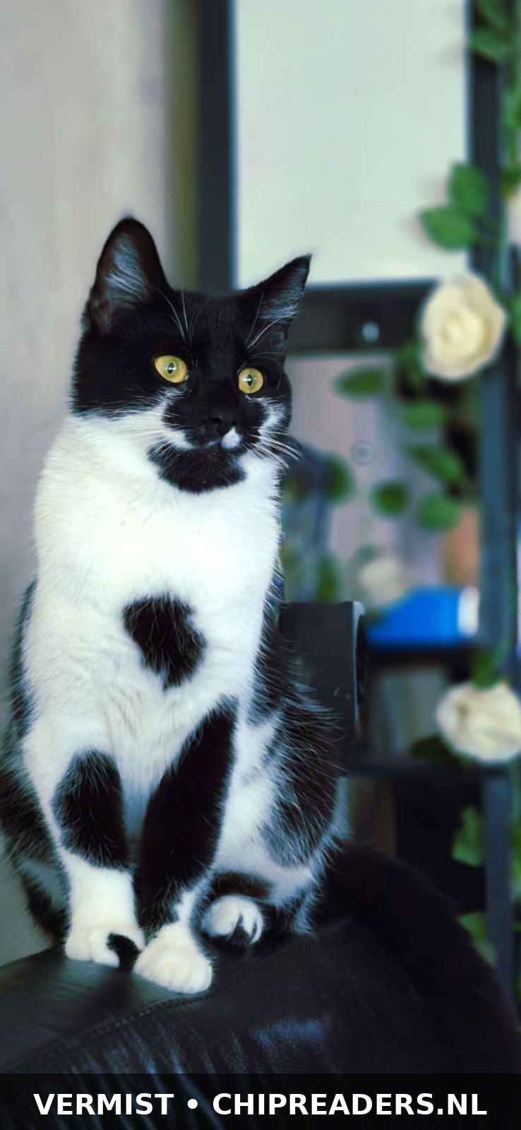 Foto van Lilly