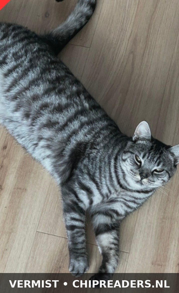Foto van Scott