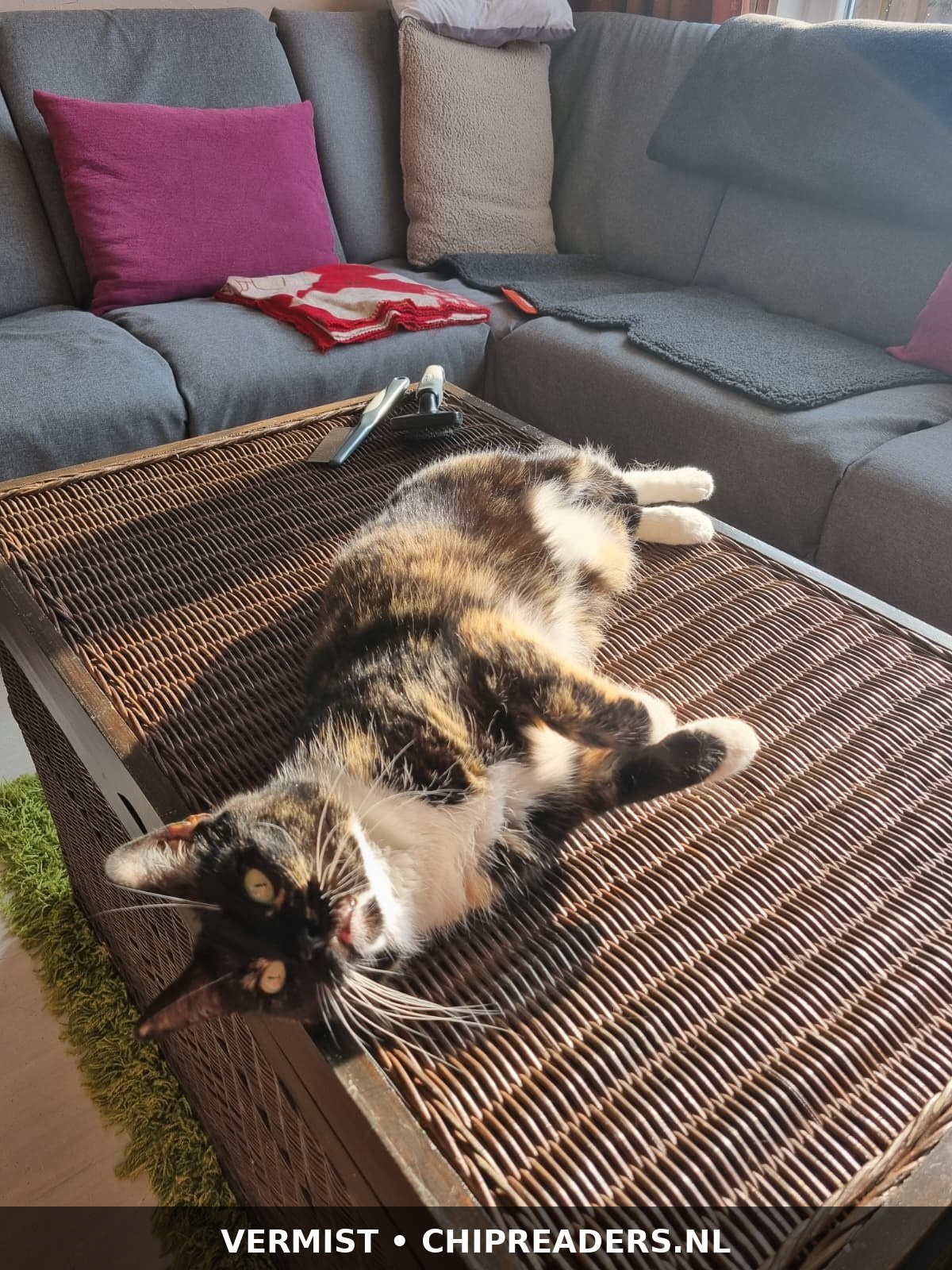 Foto van Loes