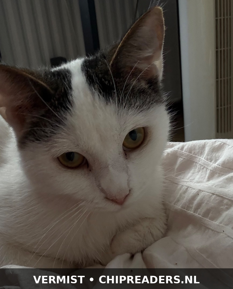 Foto van Robbie