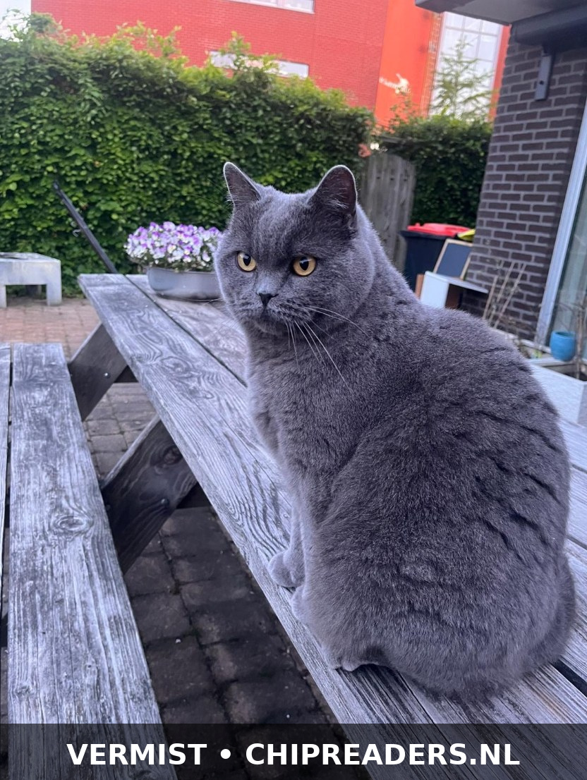 Foto van Moos