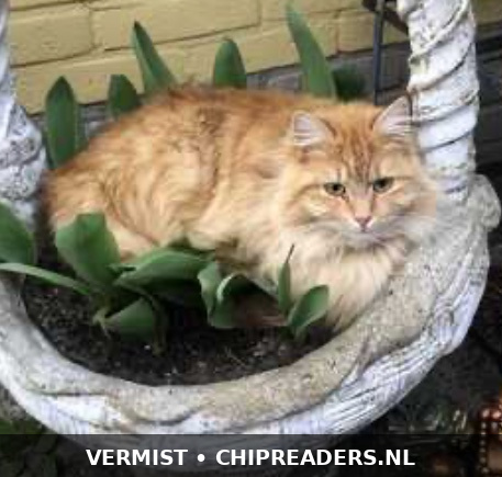 Foto van Juffrouw Jannie