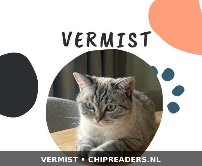 Foto van Olive