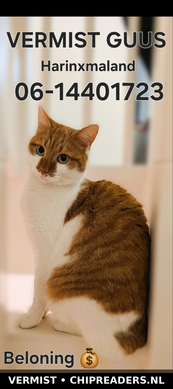 Foto van Guus