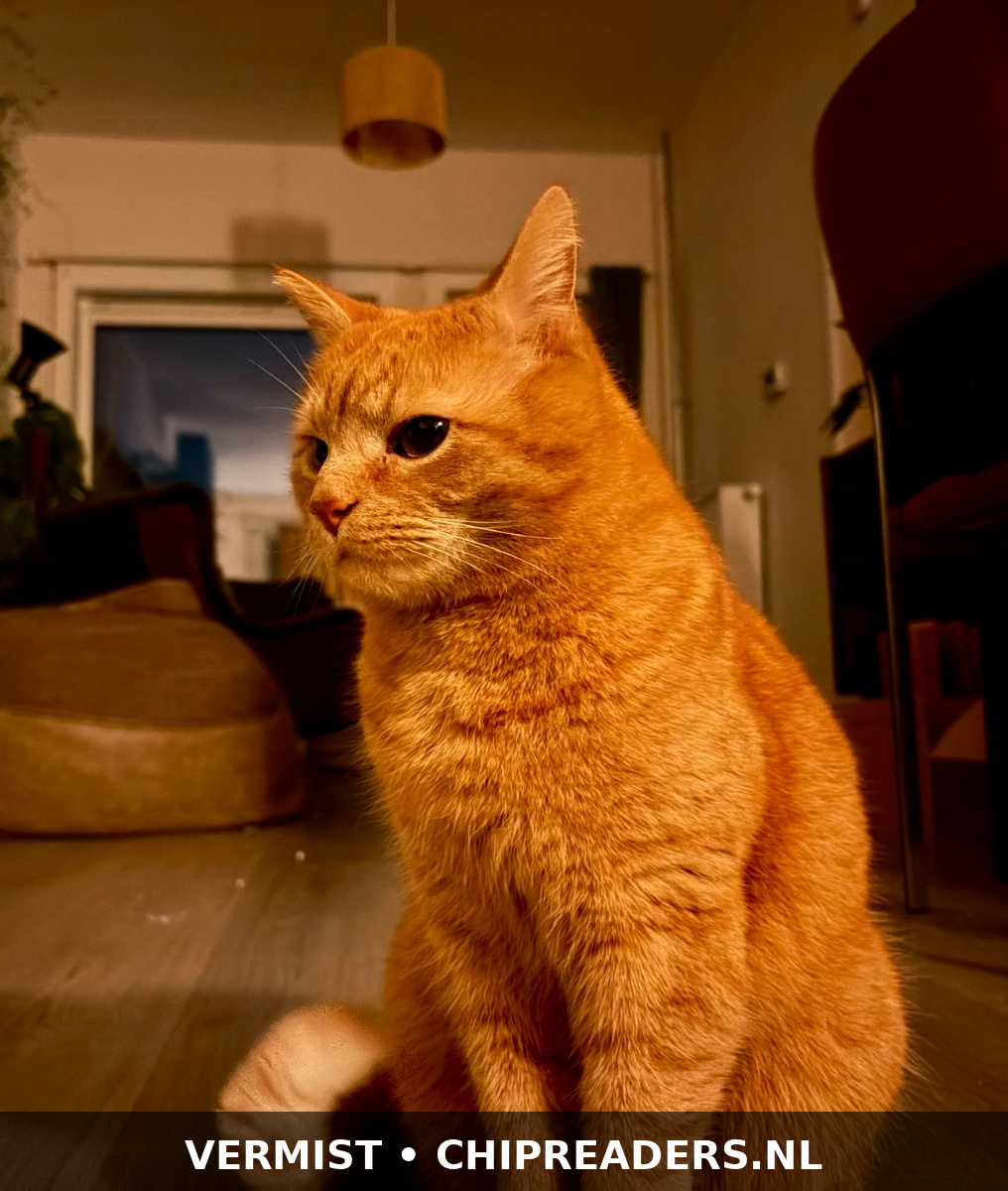 Foto van Lenny