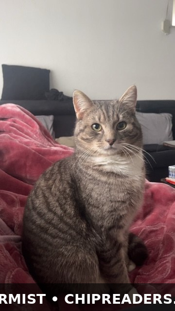 Foto van Shibu