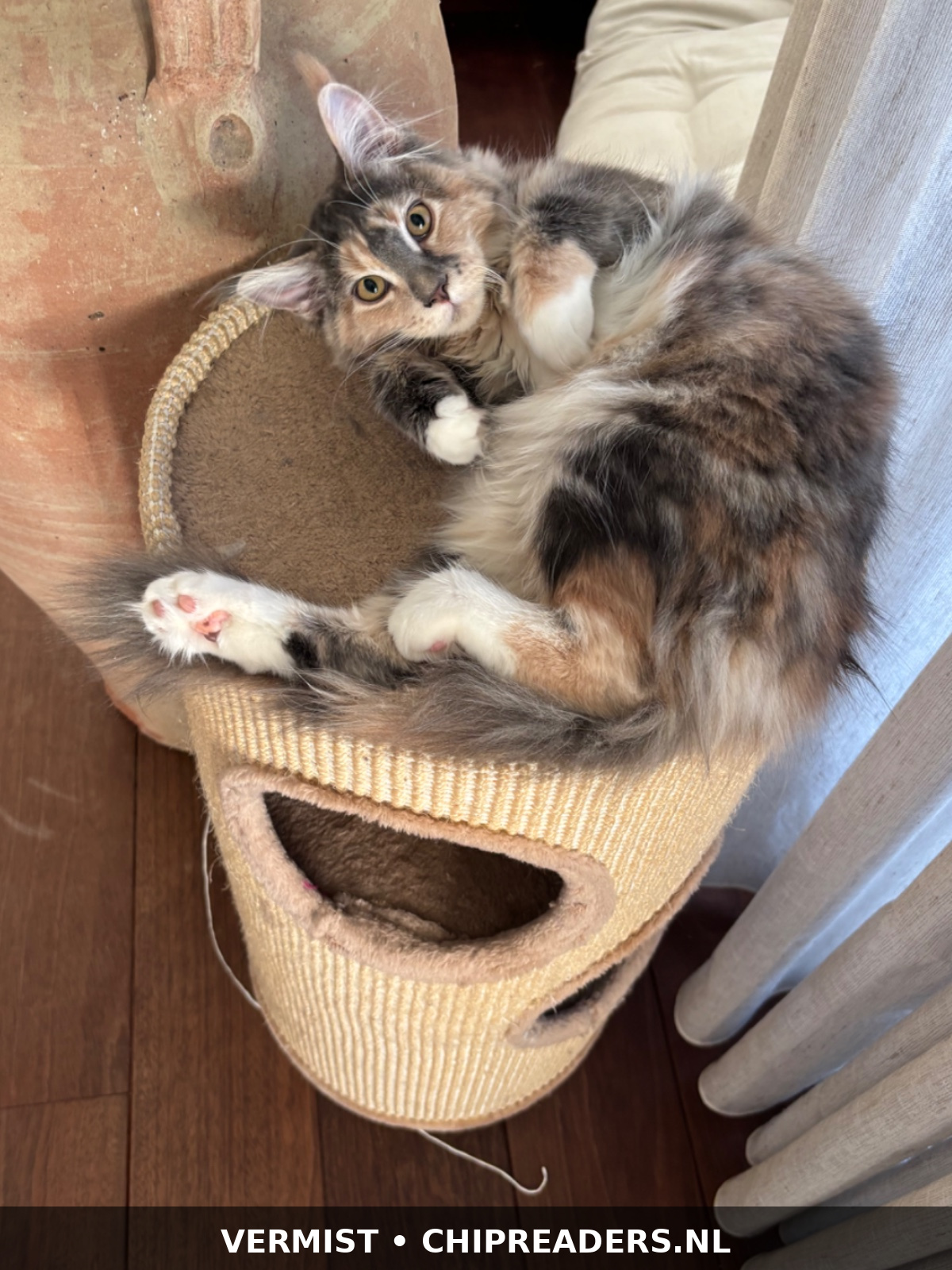 Foto van Luna