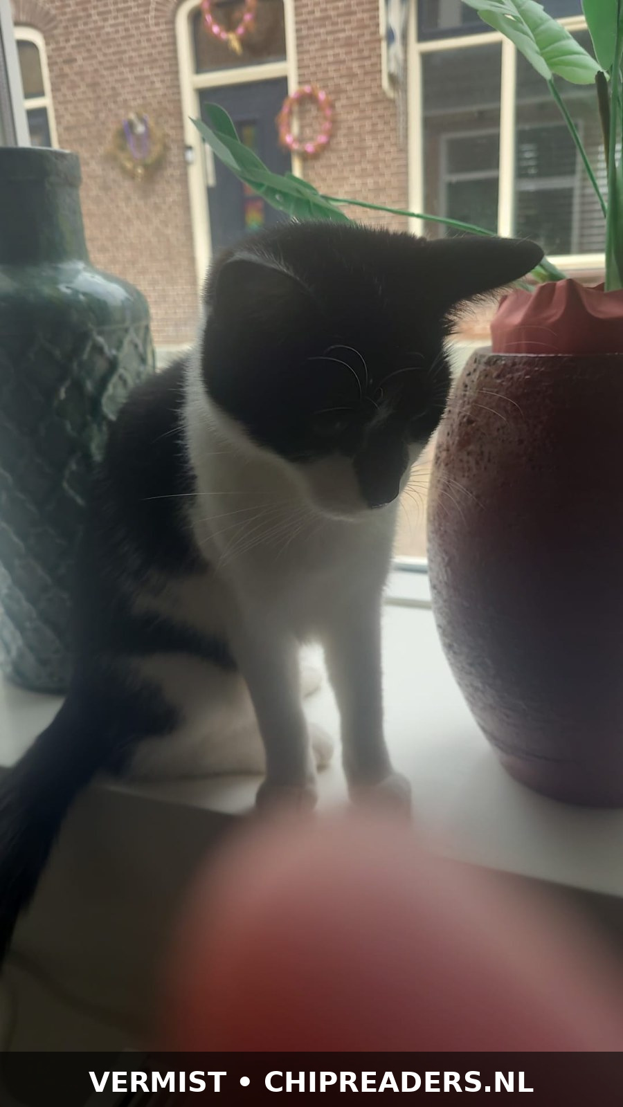 Foto van Mila