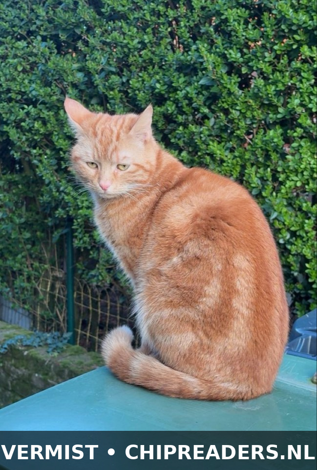 Foto van Gust