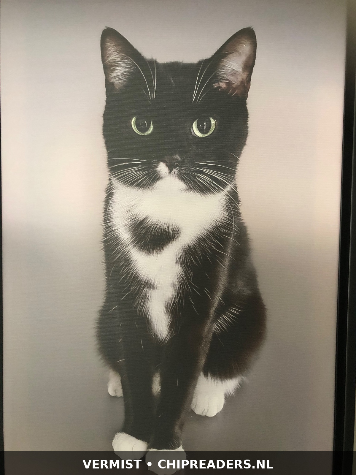 Roxy foto 1
