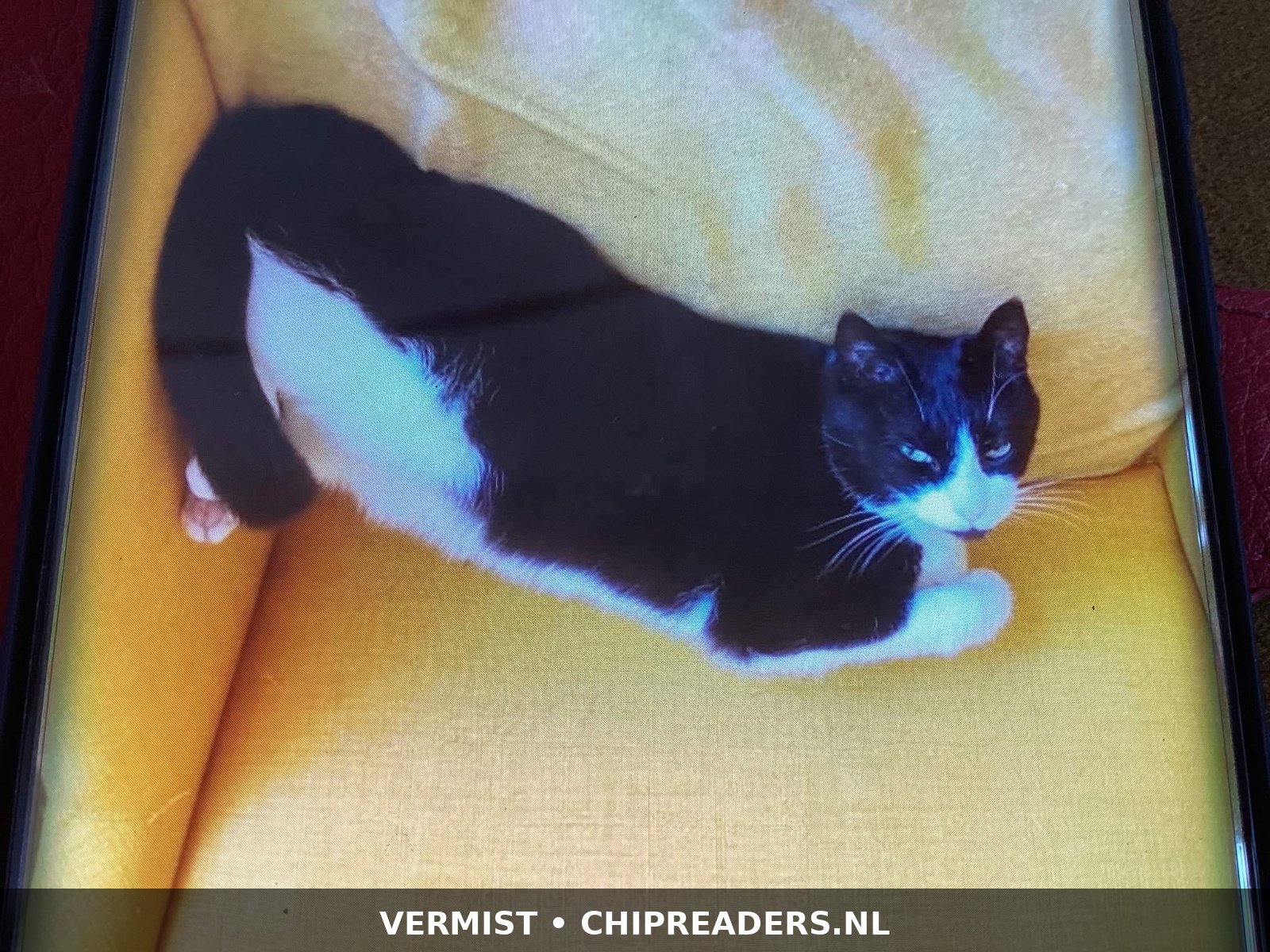 Foto van SPINKY