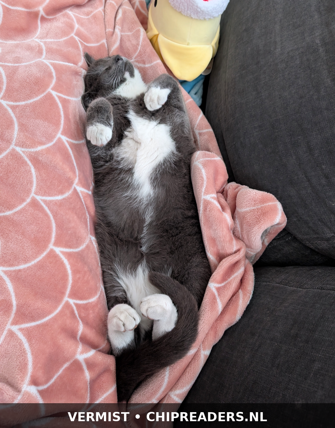 Gijs foto 2