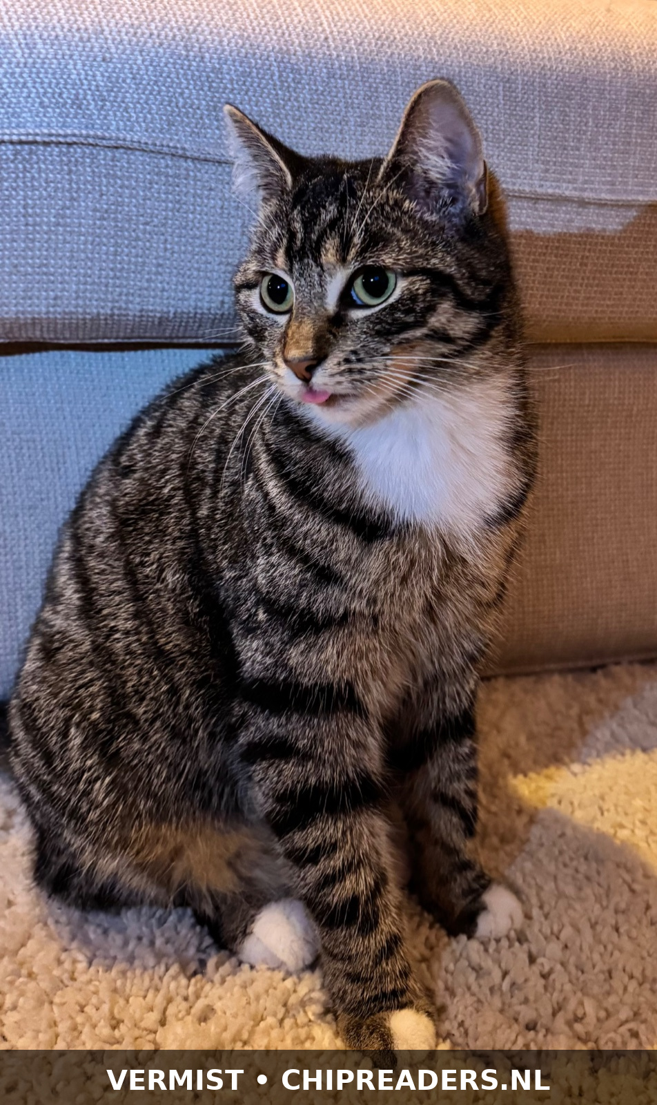 Nala