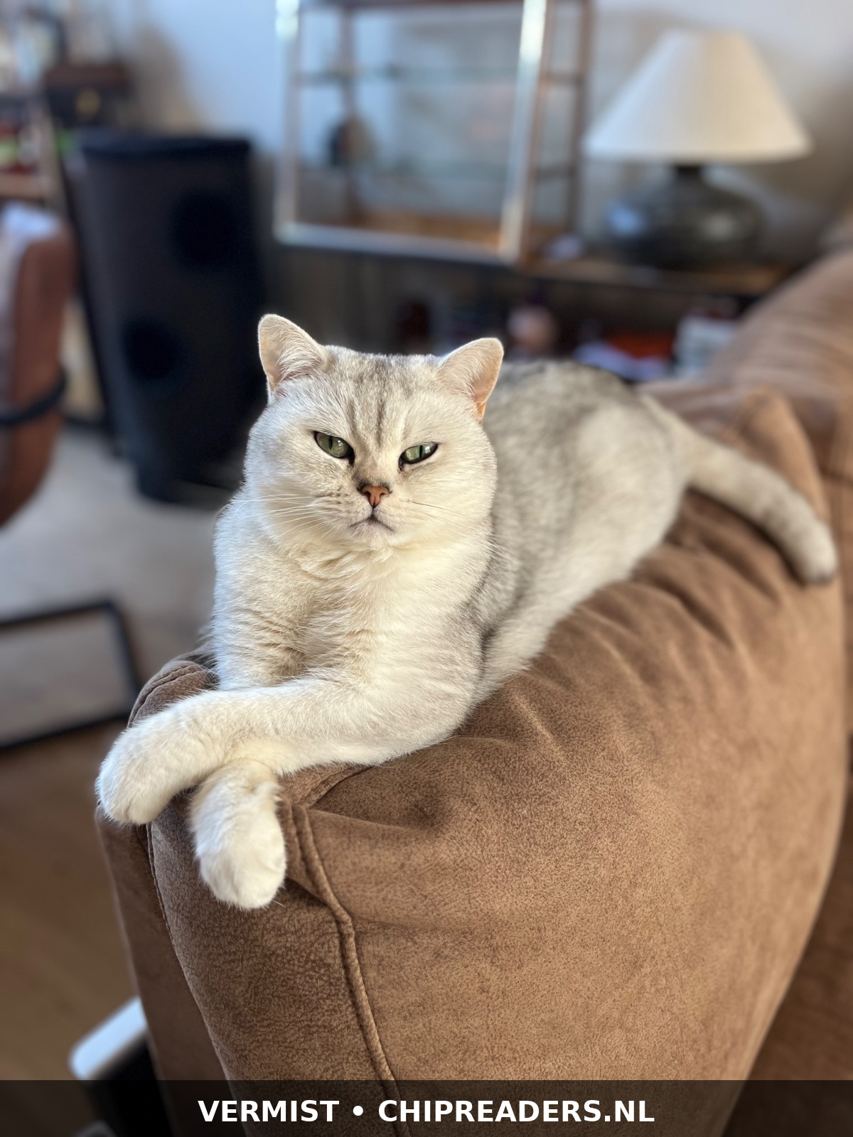 Foto van Yuki