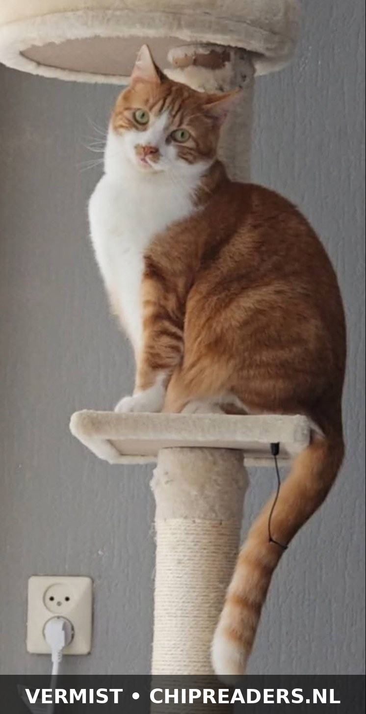 Foto van James