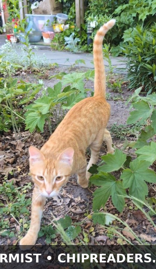 Foto van Lando