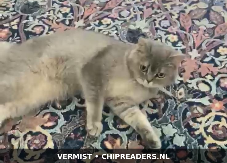Foto van Jadzia